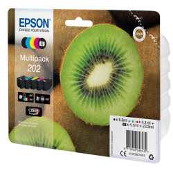 Epson 202 Multipack BK/C/Y/M/PBK (C13T02E74010)