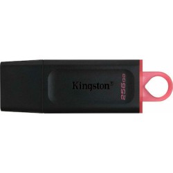 Kingston Technology DataTraveler Exodia USB flash drive 256 GB USB Type-A 3.2 Gen 1 (3.1 Gen 1) Black