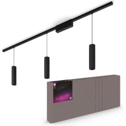 Philips Hue White & Color Ambiance Perifo Deckenleuchte Pendelleuchte schwarz