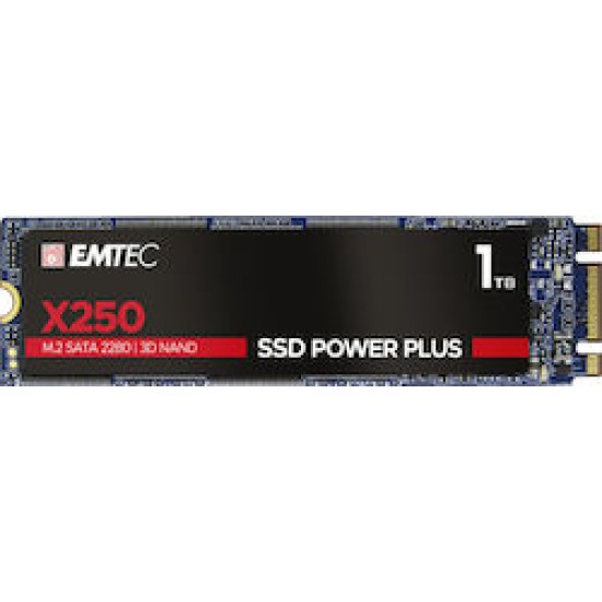 emtec SSD M.2 SATA X250 1TB Festplatte intern