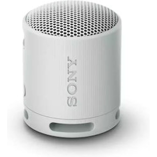 Sony SRS-XB100H BT Lautsprecher grau