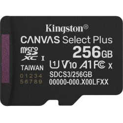 Kingston Flash-Card Canvas Select Plus - microSDXC UHS-I - 256 GB